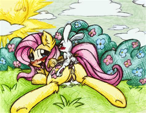 Rule 34 Angel Bunny Fluttershy Mlp Friendship Is Magic Iroxy My