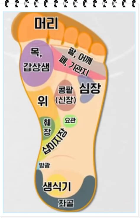 맨발걷기 효과와 효능 주의사항 3가지