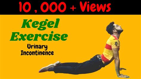 Pelvic Floor Muscles Exercises Male In Hindi Viewfloor Co