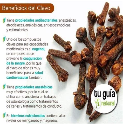 Beneficios Del Clavo Recetas Para La Salud Frutas Y Verduras