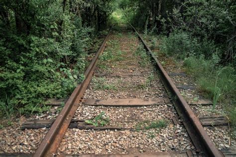 Obsolete Abandoned Rusty Railway Overgrown With Wild Grass On Old