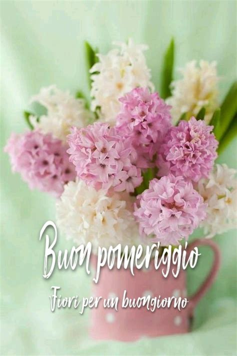 Pin By Susanna Gatto On Buon Pomeriggio Beautiful Flowers Flower