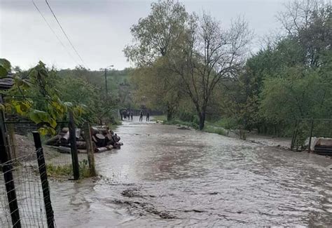 Cod Galben I Portocaliu De Inunda Ii N Bazine Hidrografice Din Mai