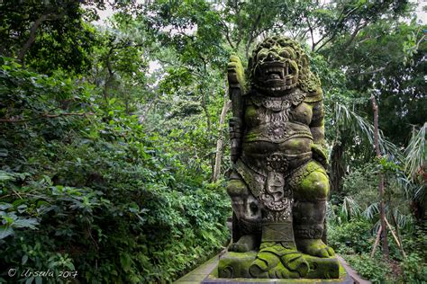 Monkey Forests Coffee Cats Elephants And Caves Ubud Bali Ursulas