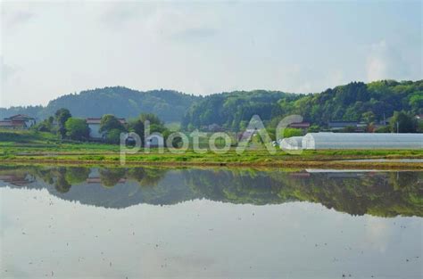 水を張った田んぼ 水鏡 No 2446978｜写真素材なら「写真ac」無料（フリー）ダウンロードok