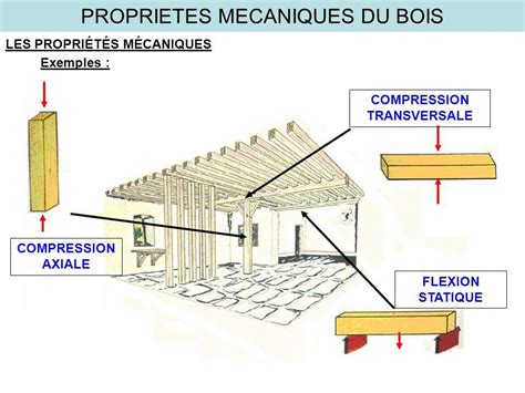 Proprietes Mecaniques Du Bois Introduction La M Canique Est Par