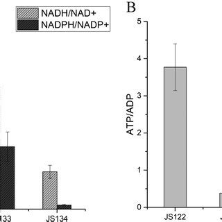 Measurement Of NADH NAD NADPH NADP And ATP ADP In Different Strains