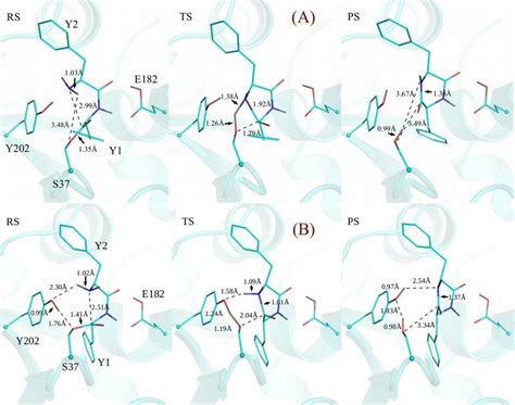 Structures On The Pathway Of A The Self Assisted Mechanism I And B