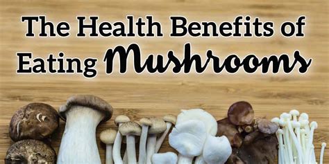 Top 10 Health Benefits Of Exotic Mushrooms – Kennett Mushrooms