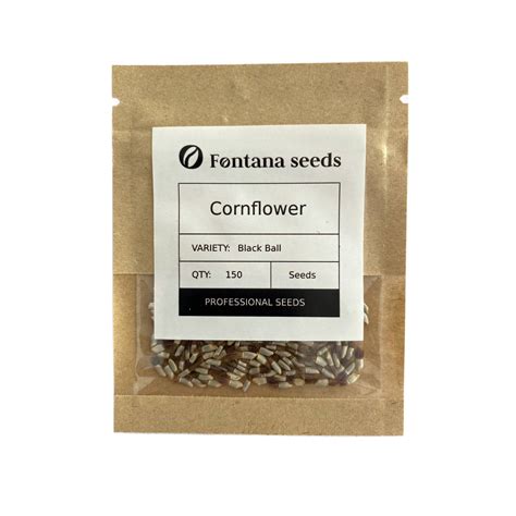 Cornflower Black Ball | Fontana Seeds
