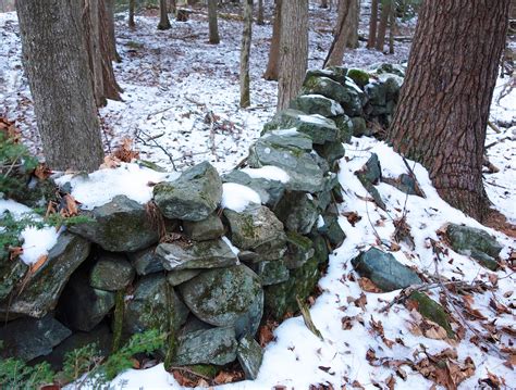 New England Stone Walls Historic Northampton