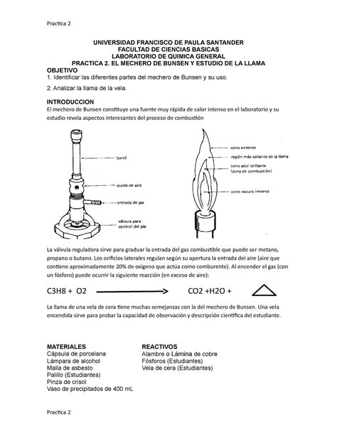 MECHERO BUNSEN TIPO AVANZADO 1500 C SAFEPRO