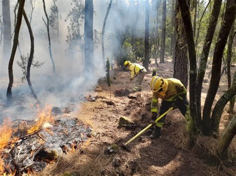 El Cabildo Mantiene Un Operativo Para El Incendio De Tenerife Con 70