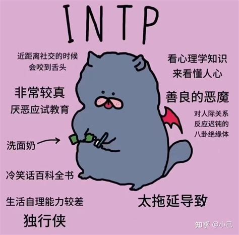 Intp女生给人的感觉 知乎