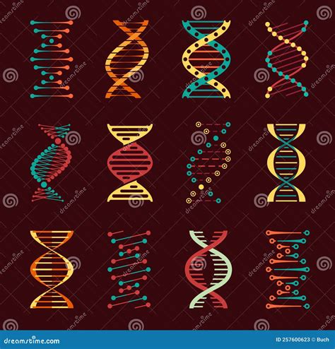 Icone Dei Vettori Del DNA Con Eliche Di Geni Umani Illustrazione Di