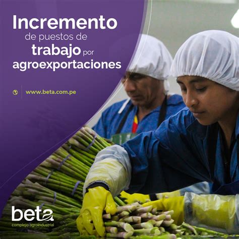 Incremento De Puestos De Trabajo Por Agroexportaciones Beta