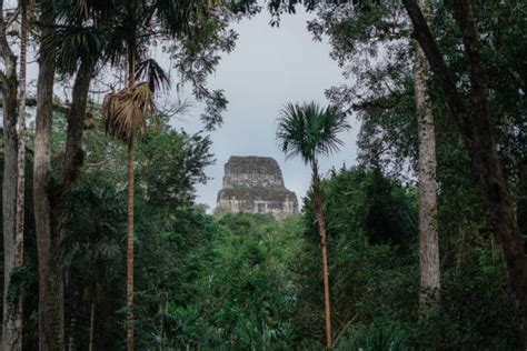 340+ Mayan Pyramids Tikal Landscape Mayan Stock Photos, Pictures ...