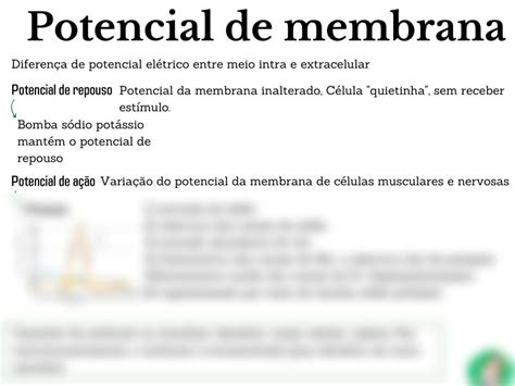 Solution Potencial De Membrana Studypool