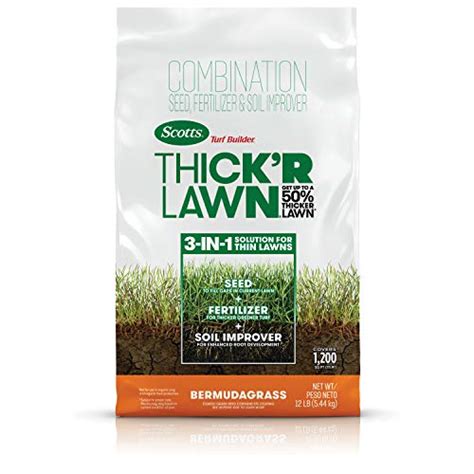 Grass for Clay Soil: Grow the Perfect Lawn | Backyard Addict