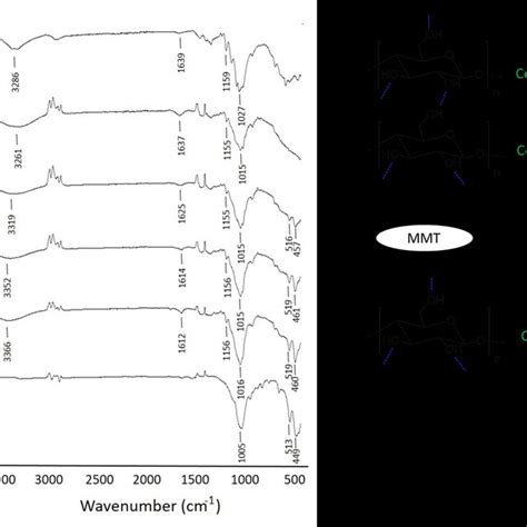 Ftir Spectra Of A Pristine Cellulose B Rc C Cn 1 D Cn 3