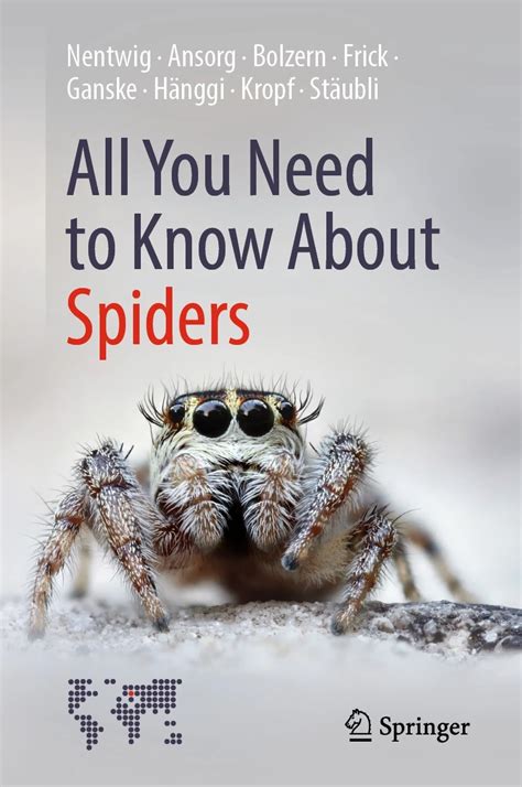 All You Need To Know About Spiders Veldshop Nl