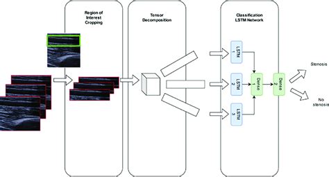 An overview of the proposed approach. Ultrasound video clips are... | Download Scientific Diagram