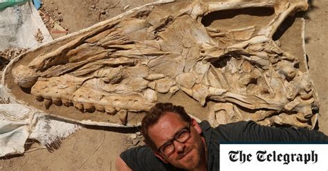 La Découverte Dune Créature Terrifiante Met Le Grand Requin Blanc Dans