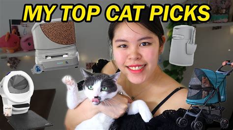 My Top Cat Picks Automatic Feeders Litter Boxes Litter Furbo Cat Camera Strollers Etc