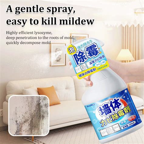 Bungee Mold Remover Say Goodbye To Mold And Mildew On Walls Lazada