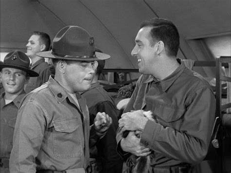 Season 1 Gomer Pyle, U.S.M.C. | Mayberry Wiki | FANDOM powered by Wikia