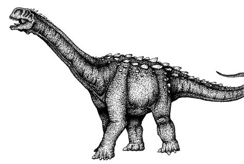 Jobaria Pictures & Facts - The Dinosaur Database