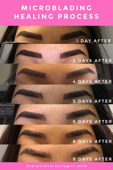 My Microblading Experience Mircoblading Eyebrows Ombre Eyebrows How