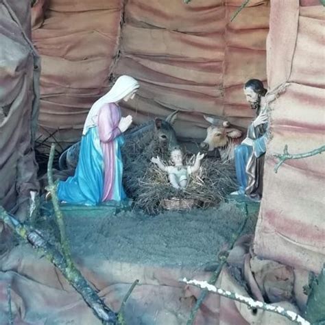 Mozzate Imbrattato Il Presepe Un Atto Blasfemo Che Offende Tutti