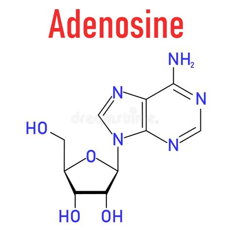 Adenosine Drug 