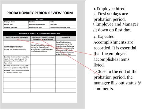 Probation Period 90 Day Review Editable Word Template Etsy Australia