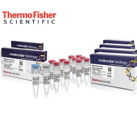 Thermo Scientific Phusion High Fidelity Dna Polymerase Dntp Mix Ve