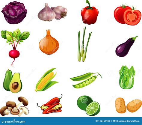 Dibujos De Verduras Para Ni Os Im Genes De Alimentos Para Ense Ar