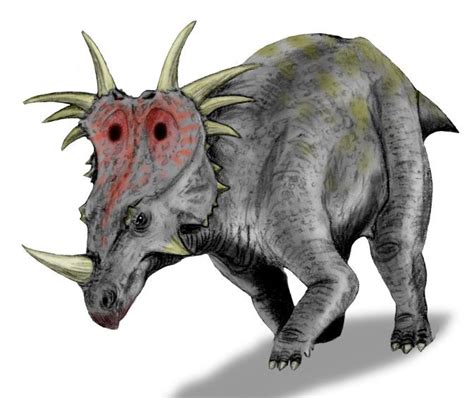 Styracosaurus Pictures & Facts - The Dinosaur Database