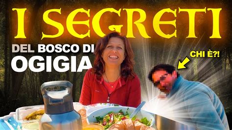 Mi Sono Introdotto Al Bosco Di Ogigia Con Boscodiogigia Youtube