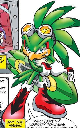 Jet The Hawk Sonic X Heroes Forever Wiki Fandom