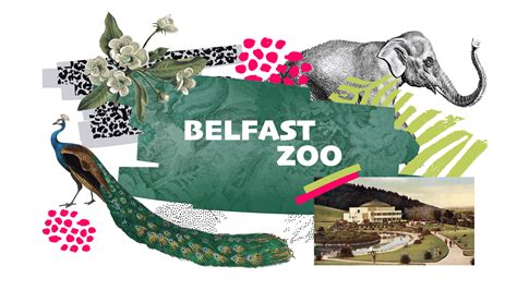 Belfast Zoo Map