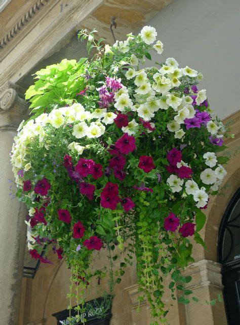 Top Super Hanging Flower Basket Ideas Garden Containers Hanging