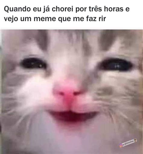 Quando Eu J Chorei Por Tr S Horas E Vejo Um Meme Que Me Faz Rir Memes