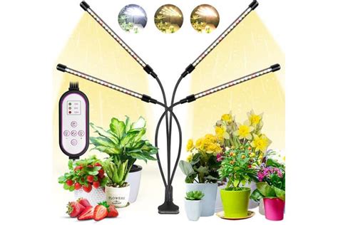 Best Grow Lights For Indoor Plants That Will Help Them Flourish Evening Standard