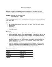 Flame Test Lab Report