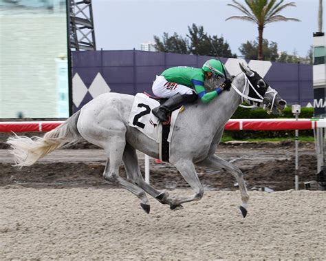 Gulfstream Park On Twitter Jan S Girl Rallies From Last To First In