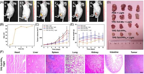 In vivo fluorescence imaging and PDT evaluation. (A) Biooxidation ...