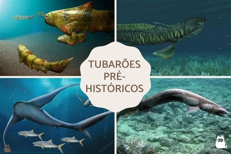 7 TUBARÕES PRÉ HISTÓRICOS Exemplos extintos e vivos