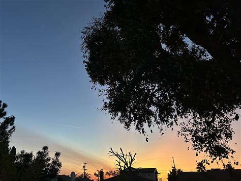 My Two Cents: New Year's Eve 2024