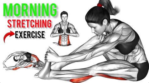 Full Body Stretching Exercises For Men Women At Home Stretching For